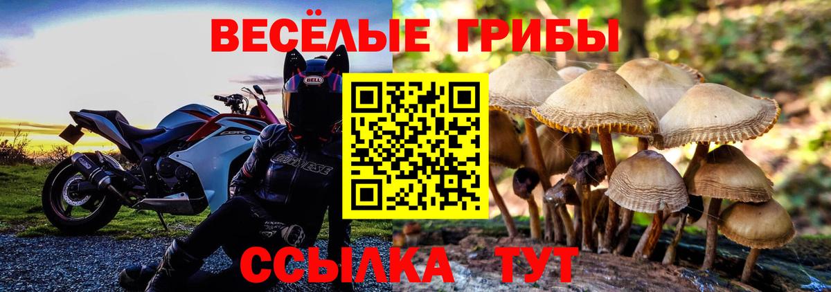 Псилоцибиновые грибы прущие грибы Миасс